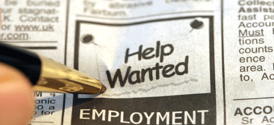 resume and employment services
